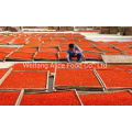 China Ningxia Organic Goji Berry Bulk Sell Gojiberry and Wolfberry